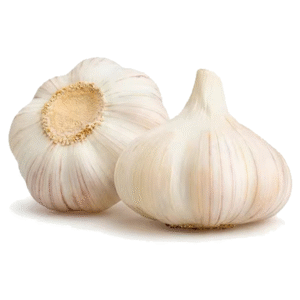 GARLIC NORMAL WHITE 55/60 9.5KG BOX
